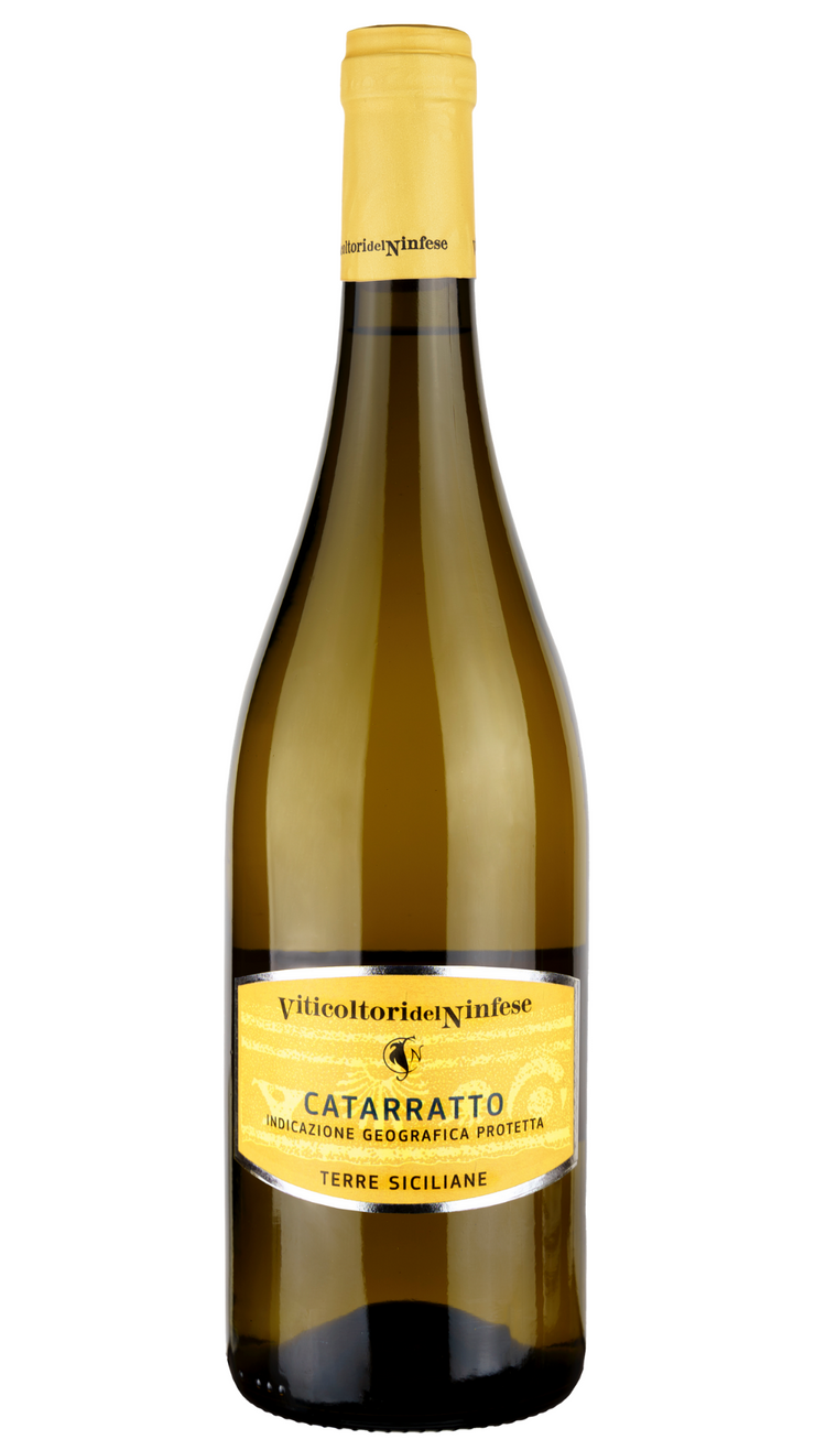 catarratto White Wine